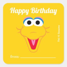 Sesame Street Big Bird | Ein Geschenk von - Geburt Quadratischer Aufkleber