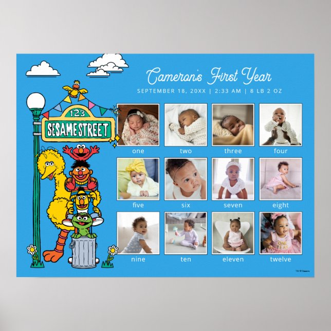 Sesame Street Characters & Street Sign Poster (Vorne)