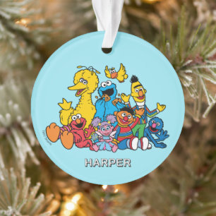 Sesame Street Freunde Benutzerdefinierter Name & Ornament
