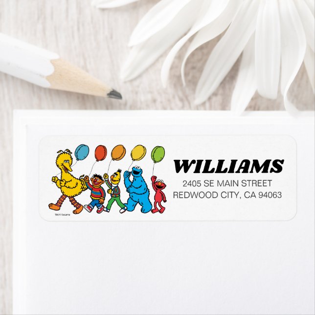 Sesame Street Pals Balloons Birthday (Insitu)