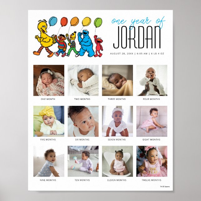 Sesame Street Pals Balloons Ein Jahr von 12 Monate Poster (Vorne)