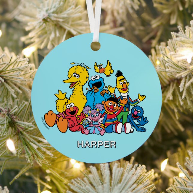 Sesame Street Pals | Customized Name & Photo Ornament Aus Metall (InSitu)
