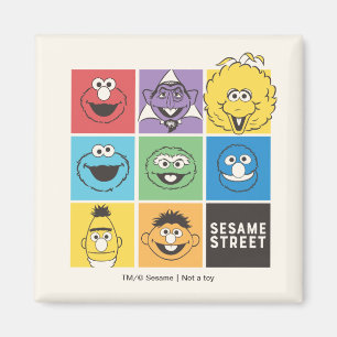 Sesame Street Pals Farbblöcke Magnet