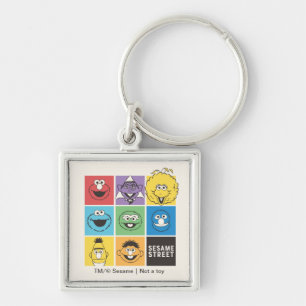 Sesame Street Pals   Farbblöcke Schlüsselanhänger