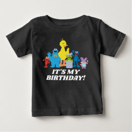 Sesame Street Pals | Mein Geburtstag Baby T-shirt