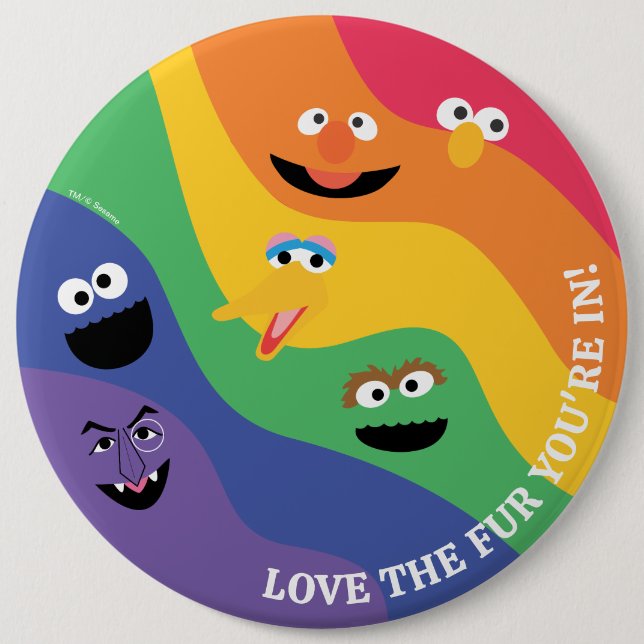 Sesame Street Pals Rainbow Button (Vorderseite)