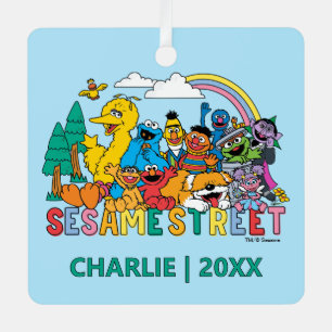 Sesame Street Regenbogenwelle Ornament Aus Metall