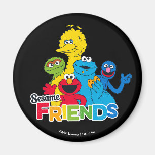 Sesame Street   Sesame Freunde Magnet