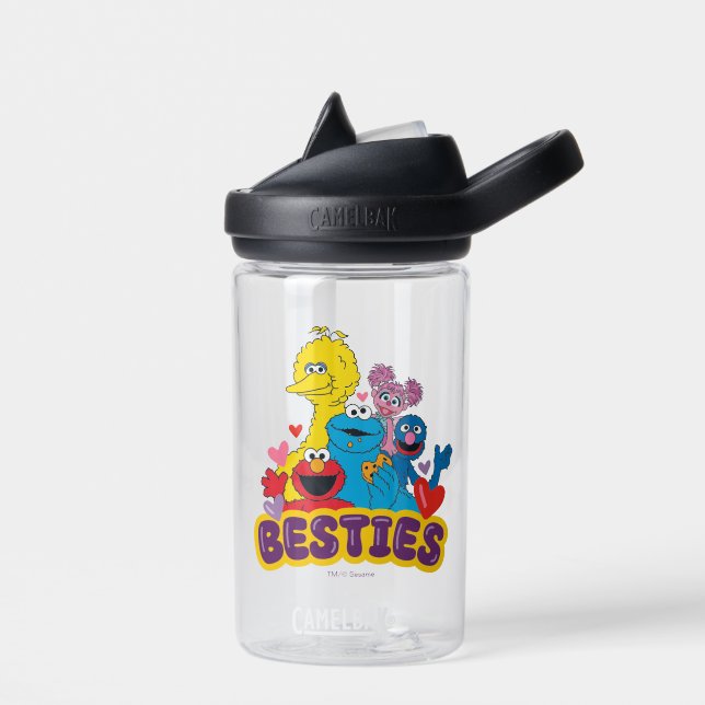 Sesame Street Valentine Besties Trinkflasche (Links)