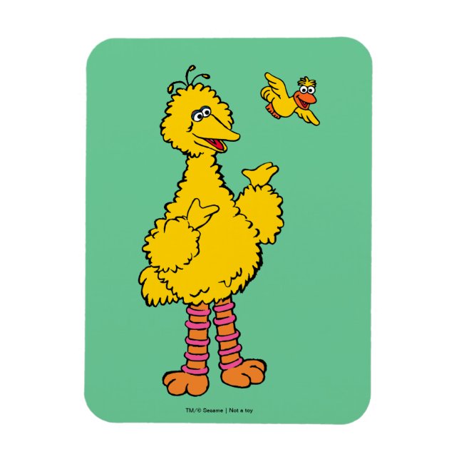 Sesamstraße | Big Bird & Little Bird Magnet (Vertikal)