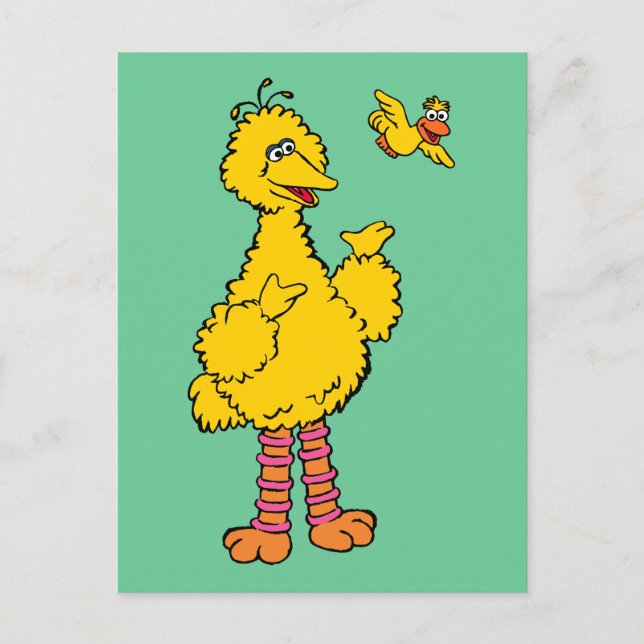 Sesamstraße | Big Bird & Little Bird Postkarte (Vorderseite)