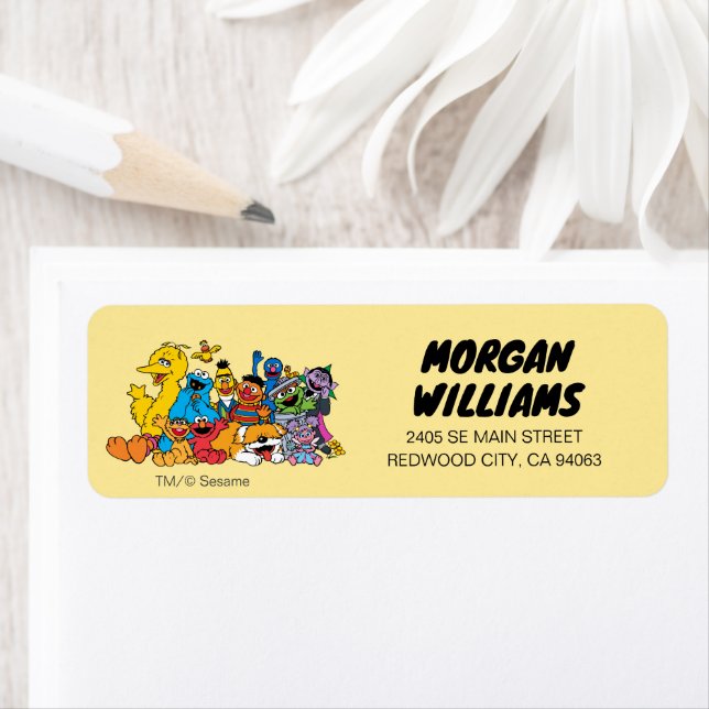 Sesamstraße | Sesame Pals Group Portrait (Insitu)