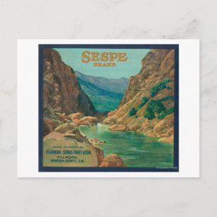 Sespe Orange LabelFillmore, CA Postkarte
