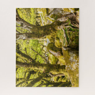 Sessile Eichen und Moos im Wald von Wistman Puzzle
