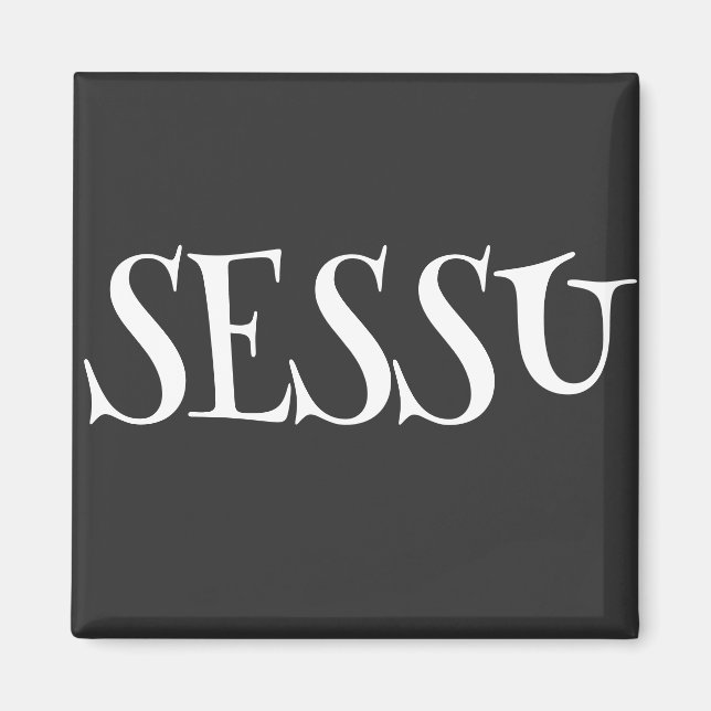 SESSU MAGNET (Vorne)