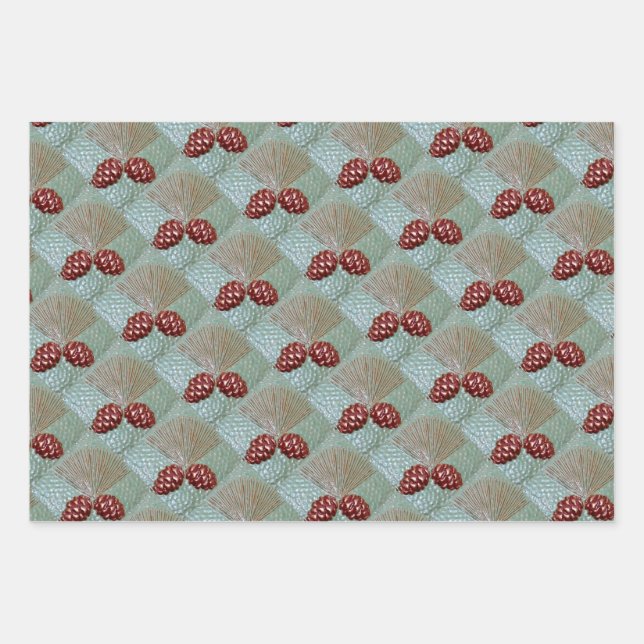 Set aus 3 Blatt Pinecones (Vorderseite)