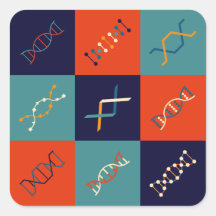 Set der DNA-Stammbiologie