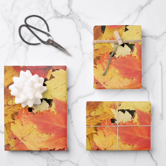 Set für das Wrapping von Papier aus 3 Herbstblätte (Vorderseite)
