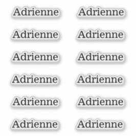 Set mit einfachen Seriennamen-Labels von 12 benutz Aufkleber