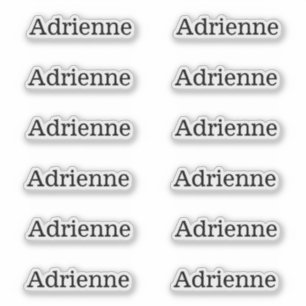 Set mit einfachen Seriennamen-Labels von 12 benutz Aufkleber