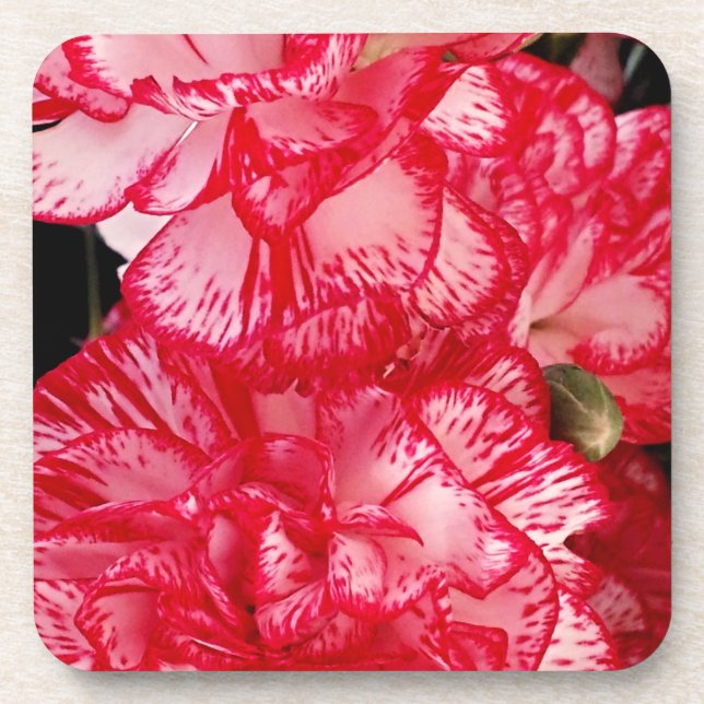 Set "Rote und weiße Nelken"-CORK-UNTERSETZER Untersetzer (Vorderseite)