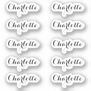 Set von 10 Kleiner eleganter Skriptname Aufkleber