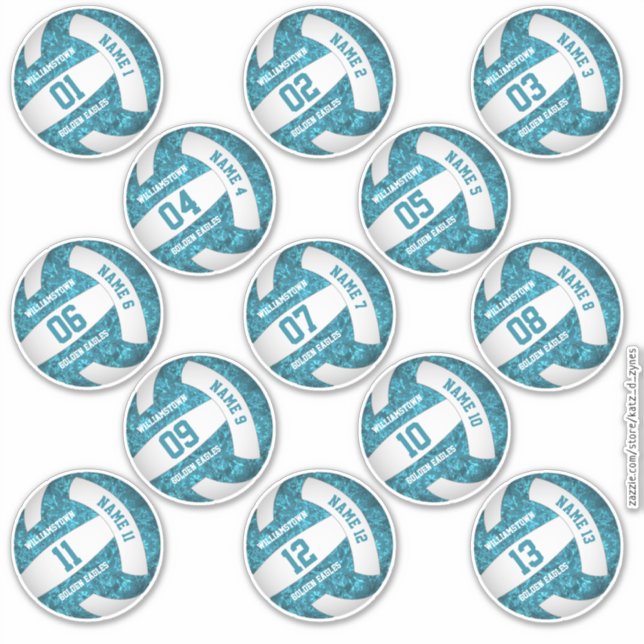 Set von 13 geistlich aquamarinen Volleyballstars Aufkleber (Vorderseite)
