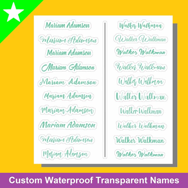 (Set von 20) Mint Transparent Simple Name Stickers Aufkleber (Mint green name stickers
)