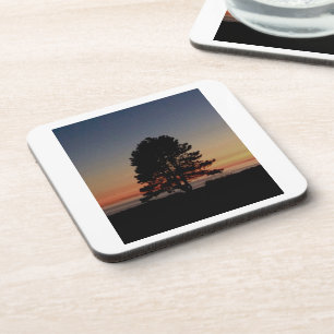 Set von 6 Untersetzer mit Korkunterlage und Baumbe