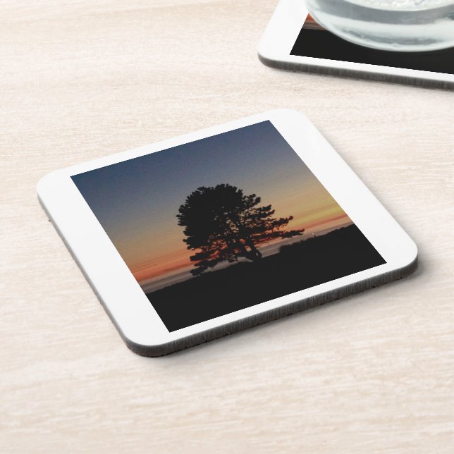 Set von 6 Untersetzer mit Korkunterlage und Baumbe (Linke Seite)