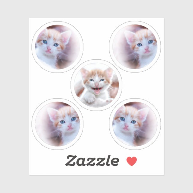 Set von fünf Circle Shape-Fotos Aufkleber (Blatt)