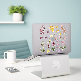 Set von tropischen Orchideen Blume Elemente. Aufkleber