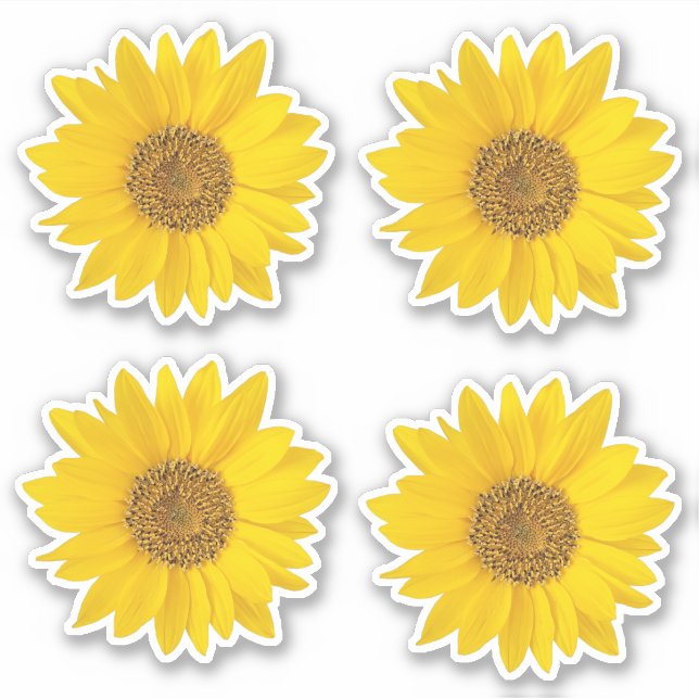 Set von vier gelben Sonnenblumen Kontur Aufkleber (Vorderseite)
