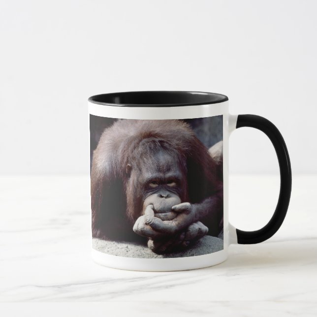 Set wild lebender Tiere - Primate 10 Tasse (Rechts)