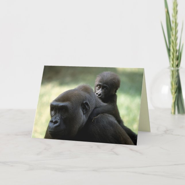 Set wild lebender Tiere - Primate 11 Karte (Vorderseite)