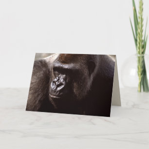 Set wild lebender Tiere - Primate 13 Karte
