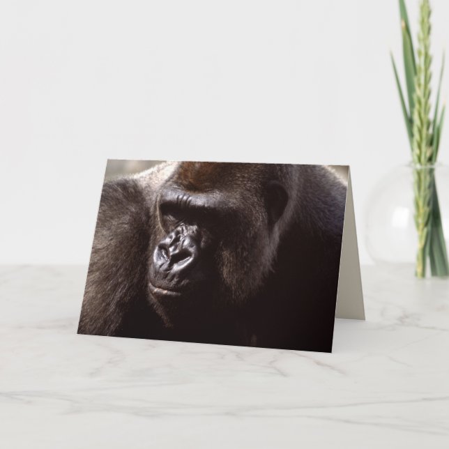 Set wild lebender Tiere - Primate 13 Karte (Vorderseite)