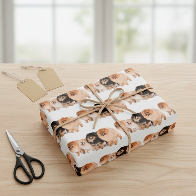 Set zum Entfernen von Spitz Geschenkpapier Set (Adorable Pomeranian Wrapping Paper Set)