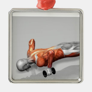 Setanta drücken 4 hoch silbernes ornament