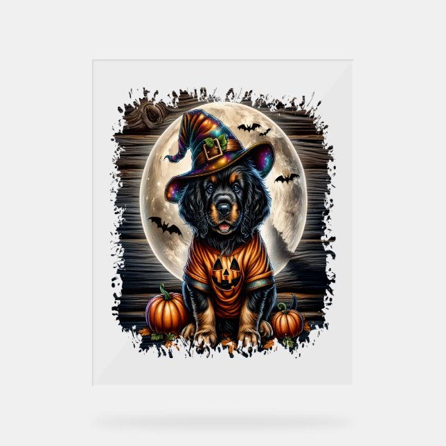 Setter Dog Halloween Square Acrylschild (Vorderseite)