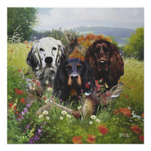 Setter-Familie Poster