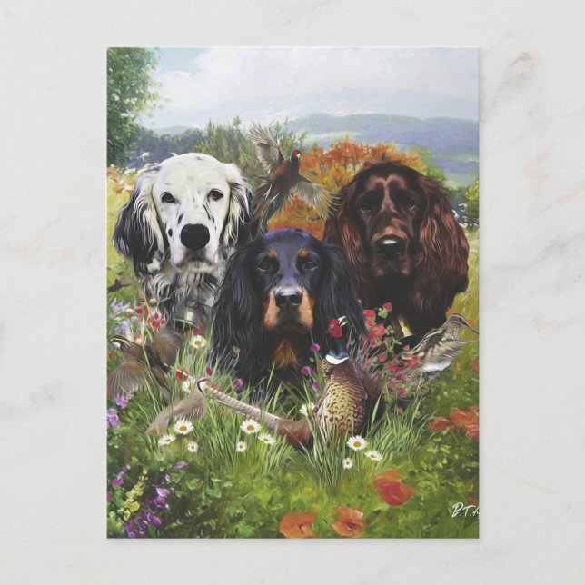 Setter-Familie Postkarte (Vorderseite)