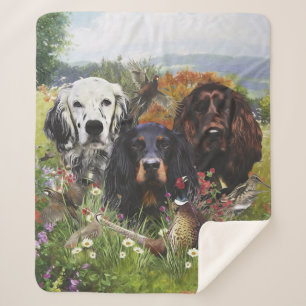 Setter-Familie Sherpadecke