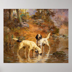 Setter in einem kühlenden Bach von Percival Rossea Poster