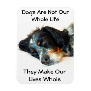 Setter Liebe Foto Magnet