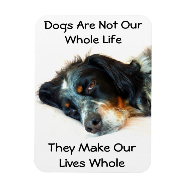 Setter Liebe Foto Magnet (Vertikal)