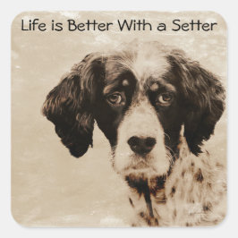 Setter-Liebe Quadratischer Aufkleber