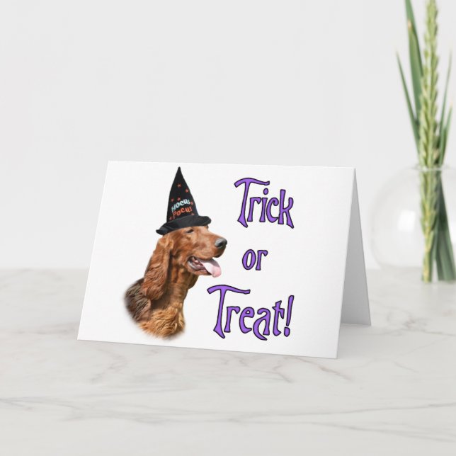 Setter-Trick Karte (Vorderseite)