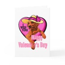 Setter-Valentinstag-Geschenke