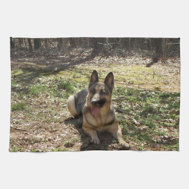 Setzen Sie Ihr Baby auf ein mojo Handtuch (Horizontal)